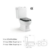 CE Certificated toilet - xyx-2593